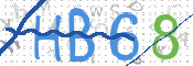 CAPTCHA 驗證圖片