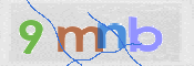 CAPTCHA 驗證圖片