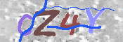 CAPTCHA 驗證圖片