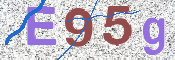 CAPTCHA 驗證圖片
