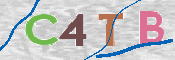 CAPTCHA 驗證圖片