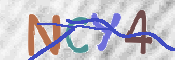 CAPTCHA 驗證圖片