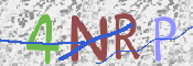 CAPTCHA 驗證圖片