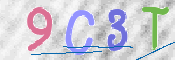 CAPTCHA 驗證圖片