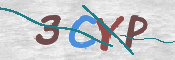 CAPTCHA 驗證圖片