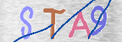 CAPTCHA 驗證圖片