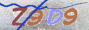 CAPTCHA 驗證圖片