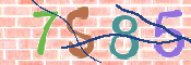 CAPTCHA 驗證圖片