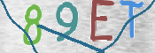 CAPTCHA 驗證圖片