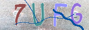 CAPTCHA 驗證圖片