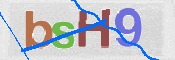CAPTCHA 驗證圖片