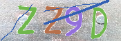 CAPTCHA 驗證圖片