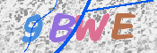 CAPTCHA 驗證圖片