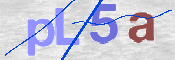 CAPTCHA 驗證圖片