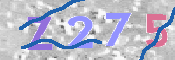 CAPTCHA 驗證圖片