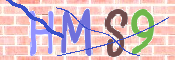 CAPTCHA 驗證圖片
