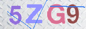 CAPTCHA 驗證圖片