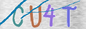 CAPTCHA 驗證圖片