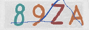 CAPTCHA 驗證圖片