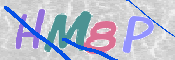 CAPTCHA 驗證圖片