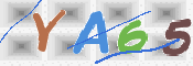 CAPTCHA 驗證圖片