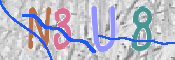 CAPTCHA 驗證圖片