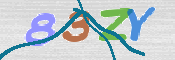 CAPTCHA 驗證圖片