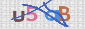 CAPTCHA 驗證圖片