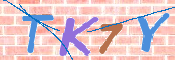 CAPTCHA 驗證圖片