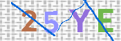 CAPTCHA 驗證圖片