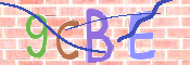CAPTCHA 驗證圖片