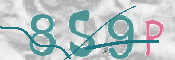 CAPTCHA 驗證圖片