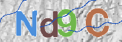 CAPTCHA 驗證圖片
