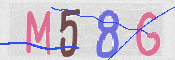 CAPTCHA 驗證圖片