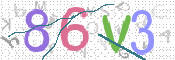 CAPTCHA 驗證圖片