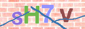 CAPTCHA 驗證圖片