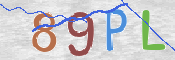 CAPTCHA 驗證圖片