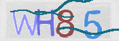 CAPTCHA 驗證圖片