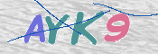 CAPTCHA 驗證圖片