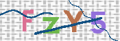 CAPTCHA 驗證圖片