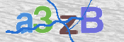 CAPTCHA 驗證圖片