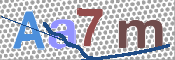 CAPTCHA 驗證圖片