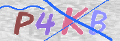 CAPTCHA 驗證圖片