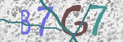CAPTCHA 驗證圖片