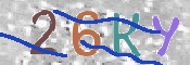 CAPTCHA 驗證圖片