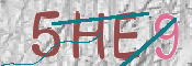 CAPTCHA 驗證圖片