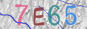 CAPTCHA 驗證圖片