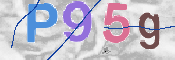 CAPTCHA 驗證圖片