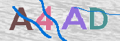 CAPTCHA 驗證圖片