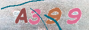 CAPTCHA 驗證圖片